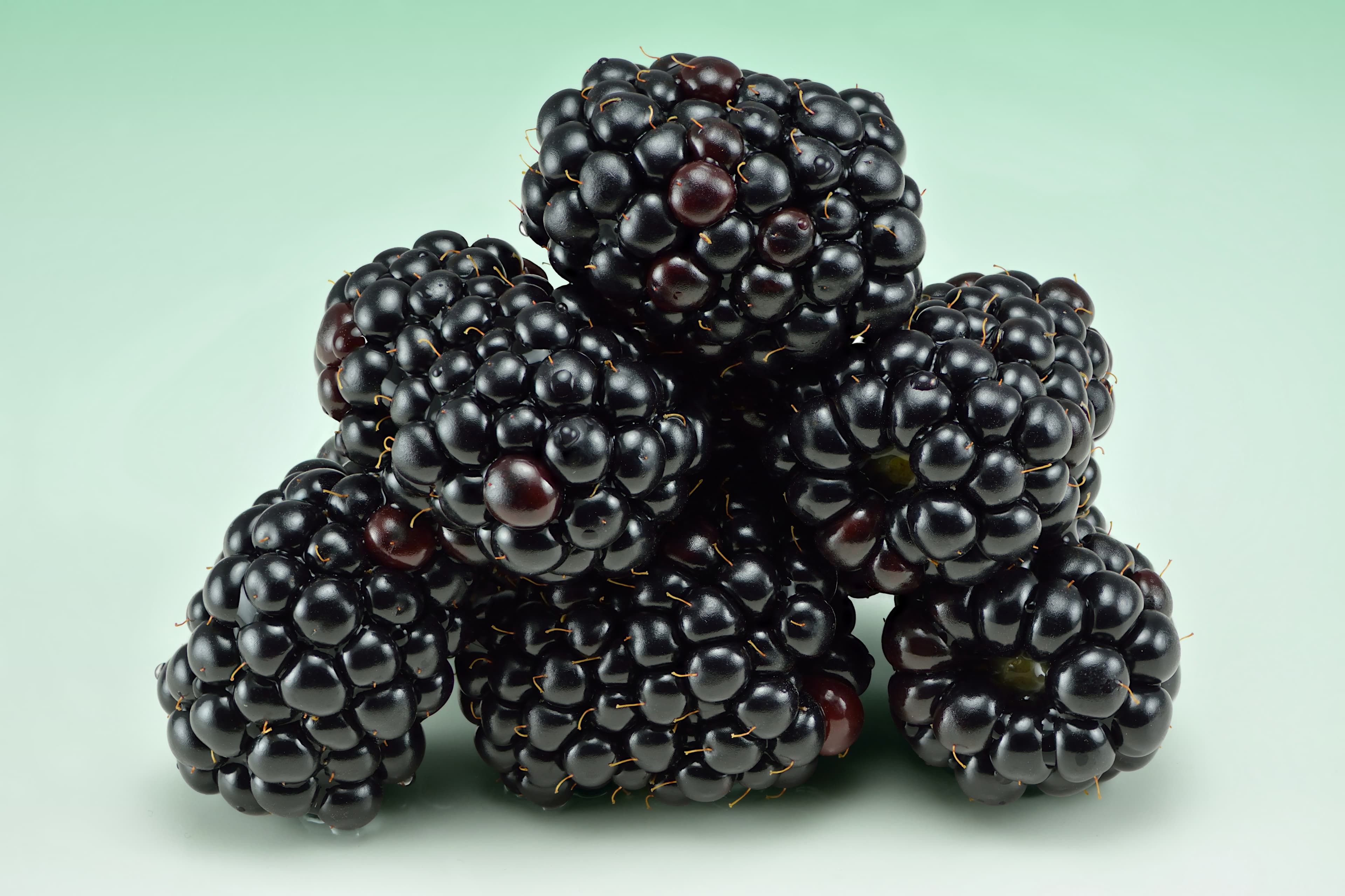 Mora de Castilla Fresca